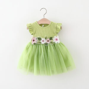 Little Girl's Mesh Dress