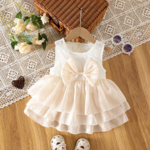 Mesh Patchwork Dress
