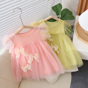 Treasure Mesh Puffy Dress