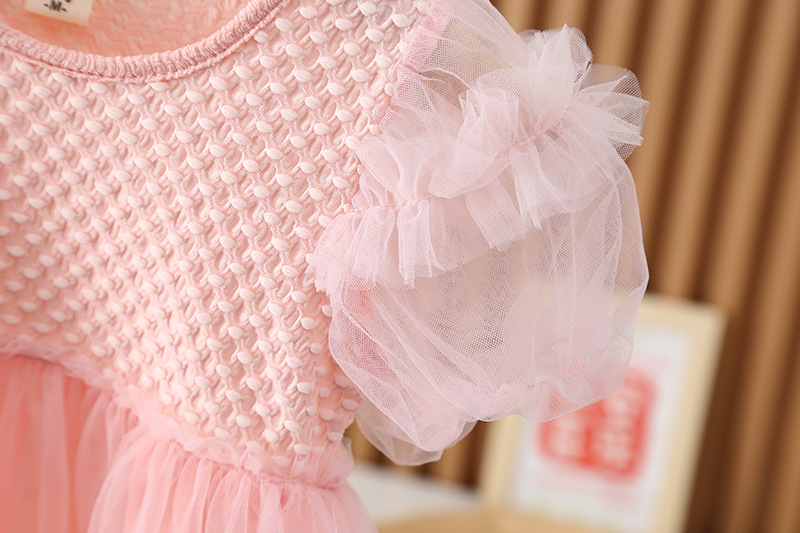 Puff Sleeve Mesh Dress - Image 5