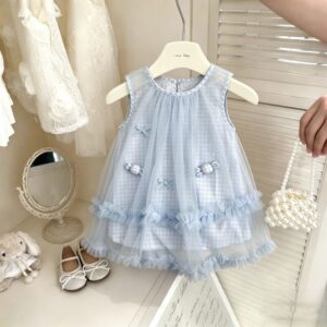 Blue Mesh Vest Dress